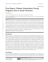 gudisa DKA DMpress.pdf